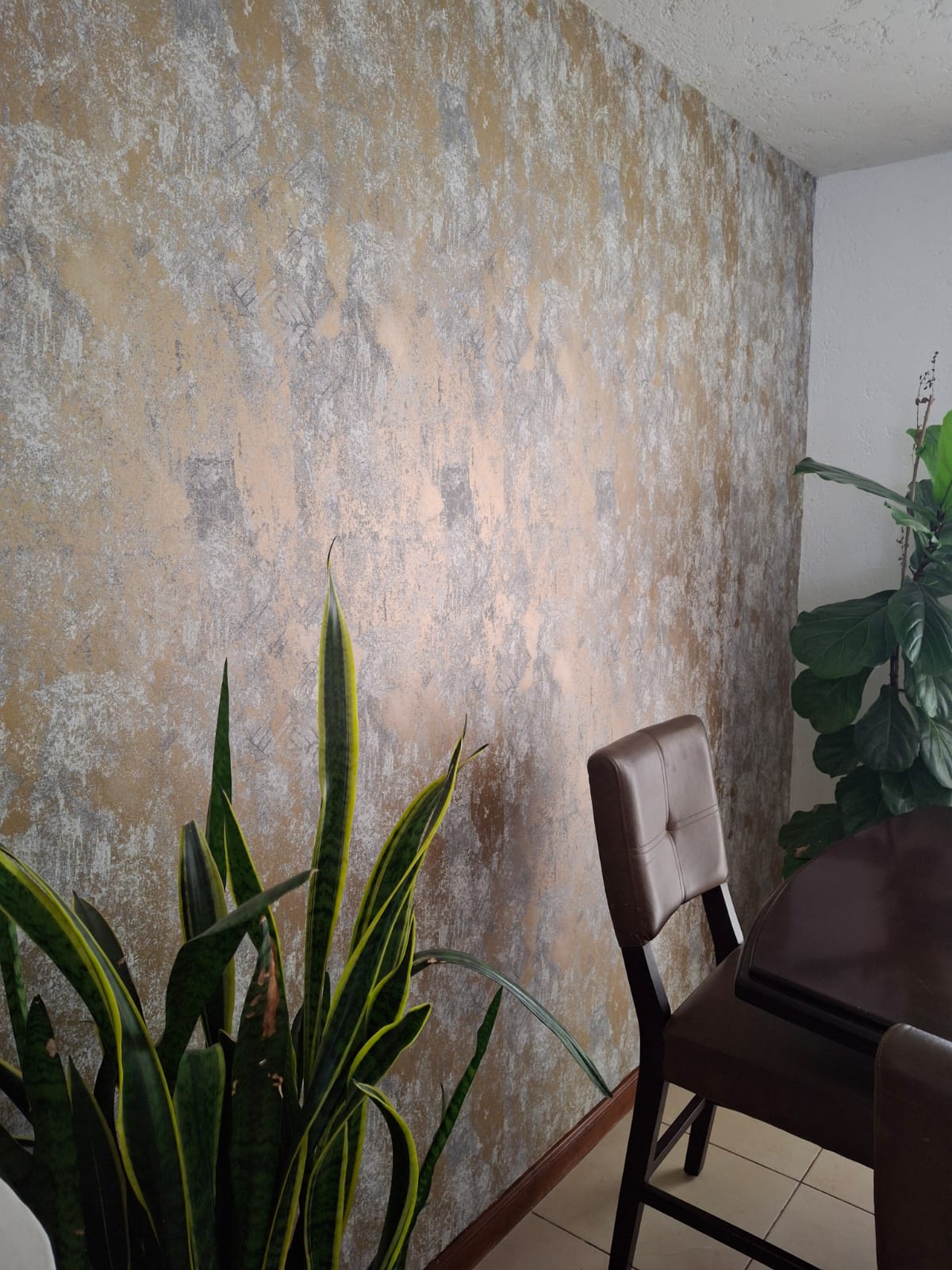 Muro de Acento en Comedor