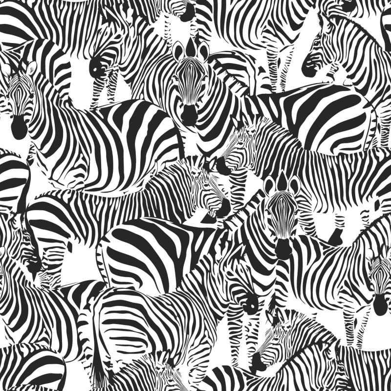 Papel tapiz Papel tapiz zebra blanco y negro 154-139155 - Decora Pro