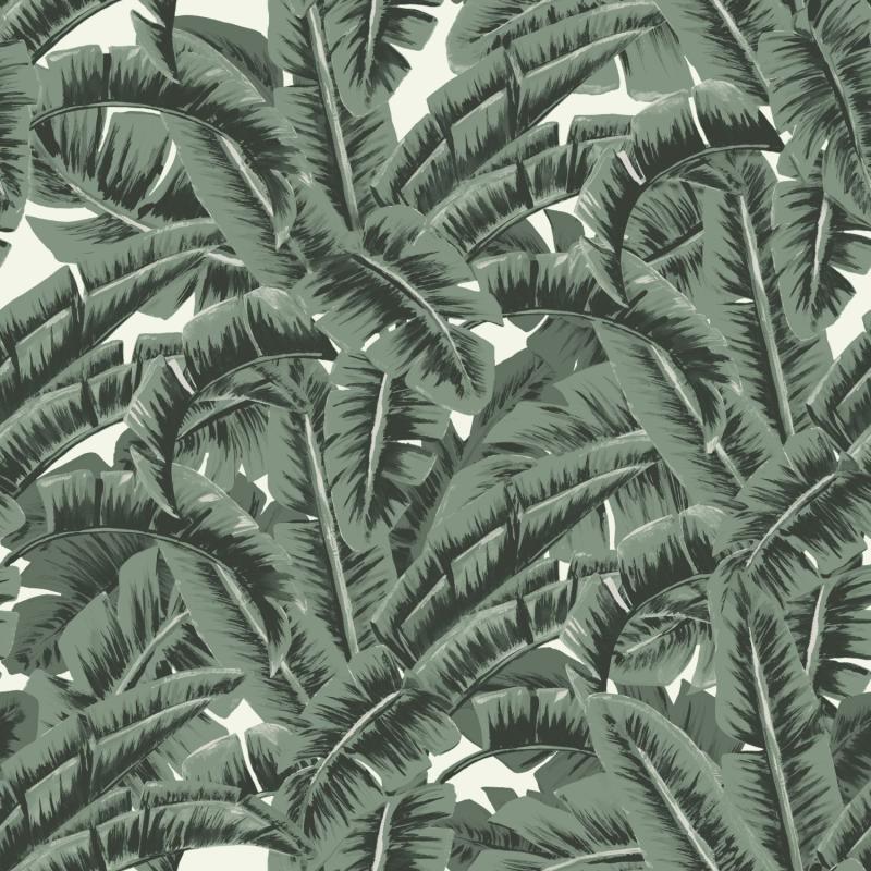 Papel tapiz hojas de la selva tropical verde grisáceo