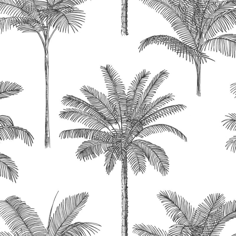 Papel tapiz Papel tapiz palmeras blanco y negro - Decora Pro