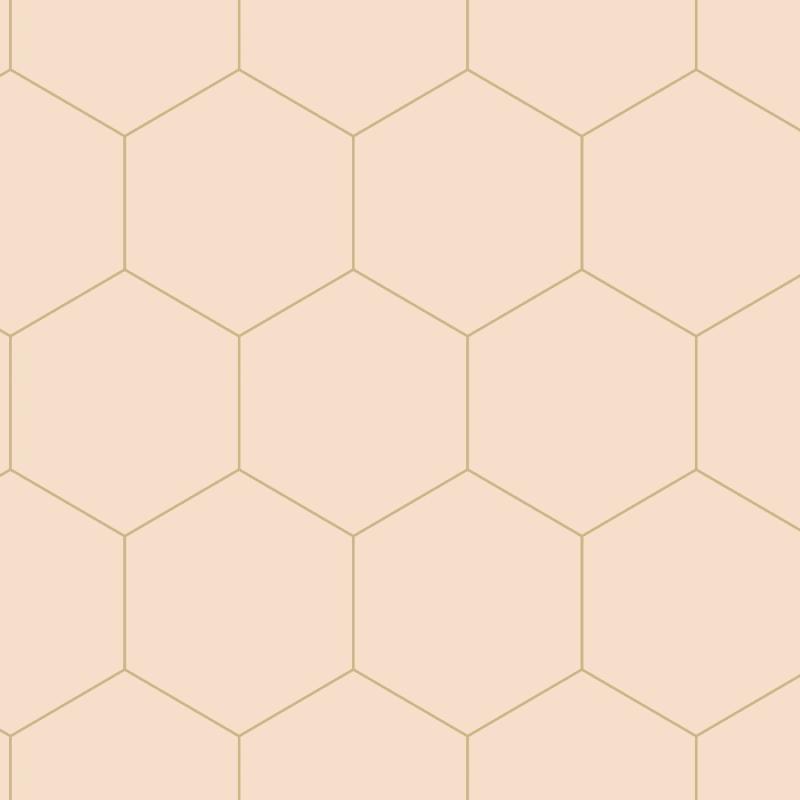 Papel tapiz Papel tapiz con estampado hexagonal rosa melocotón claro - Decora Pro